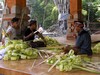 bali75.jpg